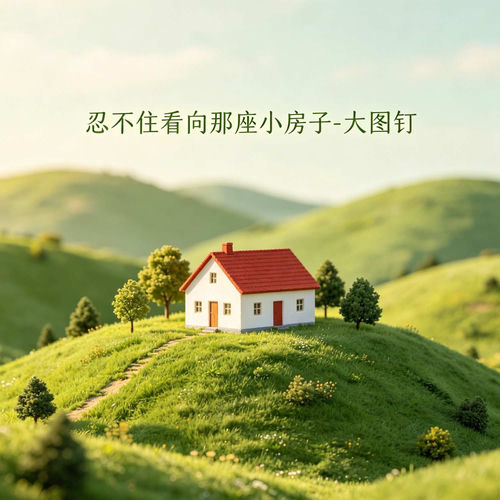 忍不住看向那座小房子