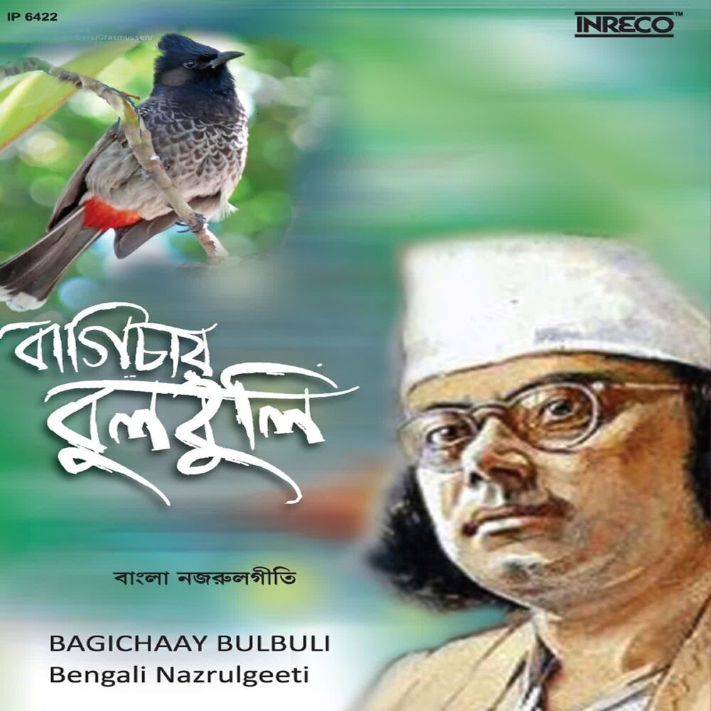 Picture of Bagichaay Bulbuli