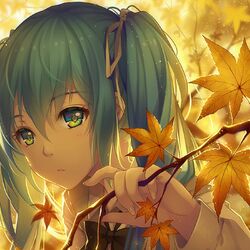 music cover
