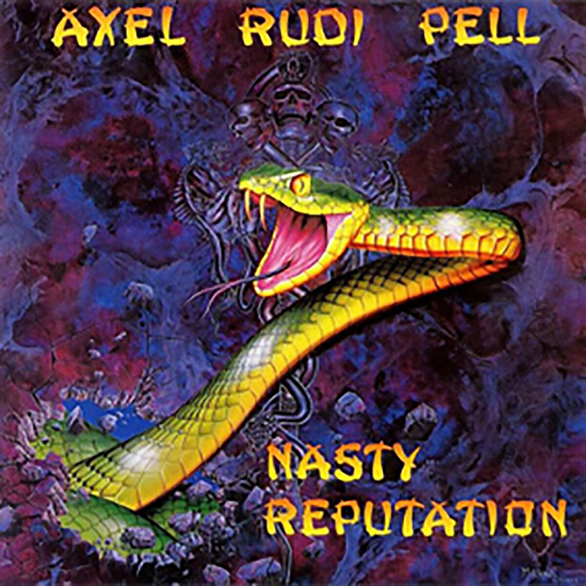 Album cover of Nasty Reputation