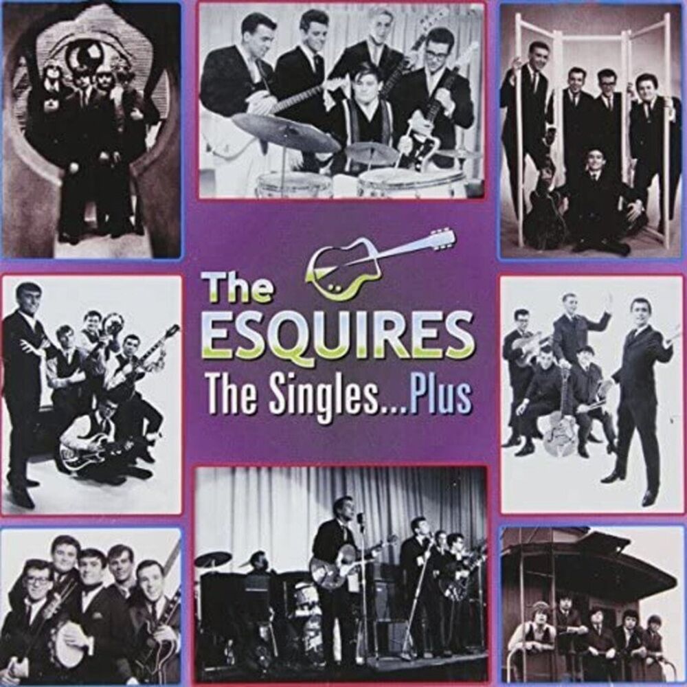 Picture of The Singles...Plus