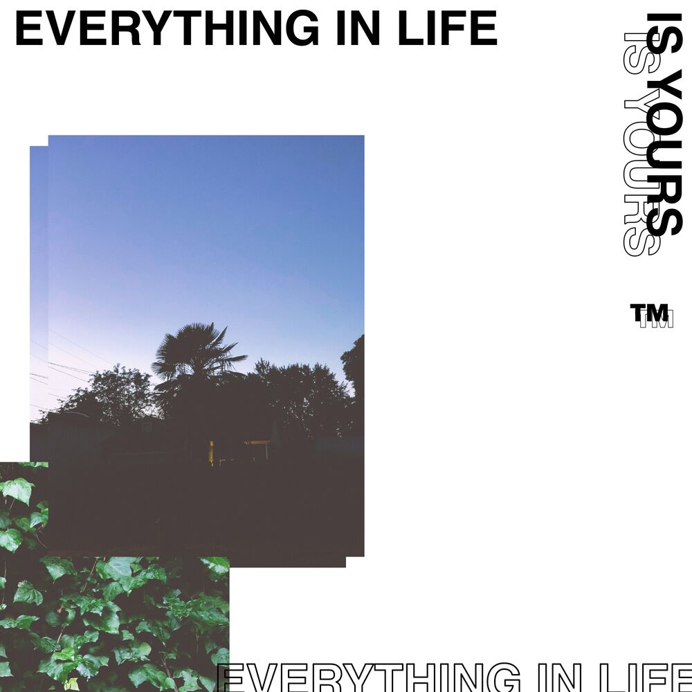 Picture of Everything in Life is Yours