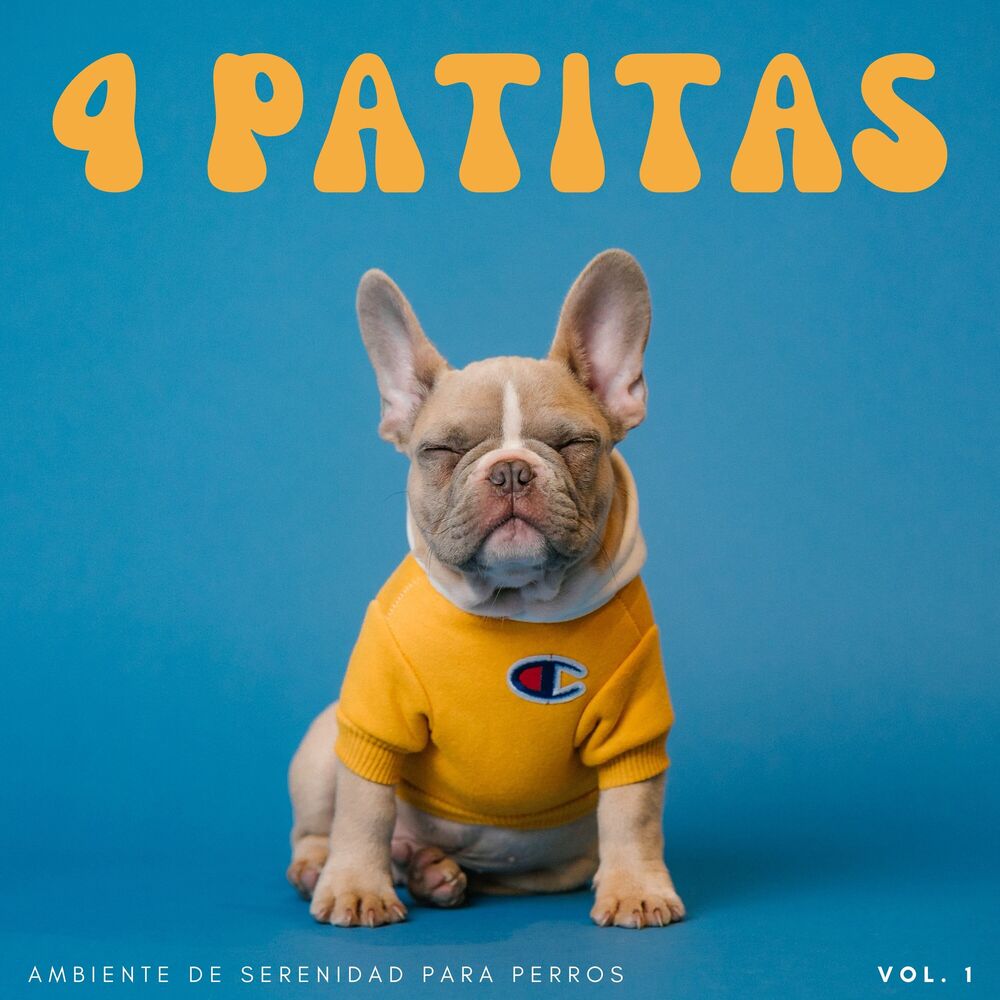 Picture of 4 Patitas: Ambiente De Serenidad Para Perros Vol. 1