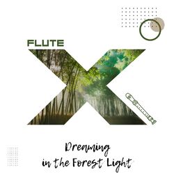 Cover of Dreaming in the Forest Light