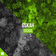 Cicada by Oskah album cover