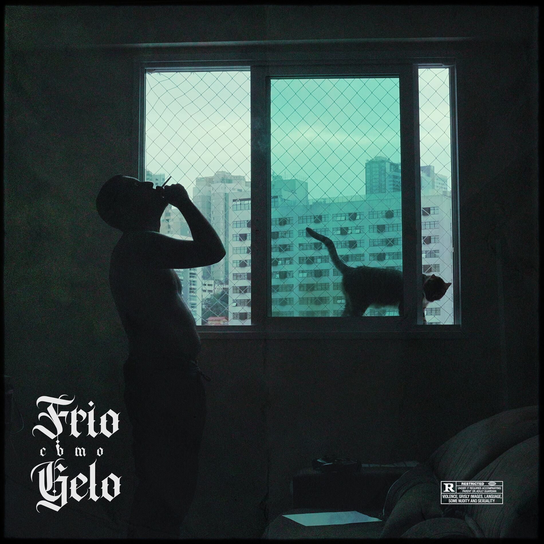 Album cover of Frio Como Gelo