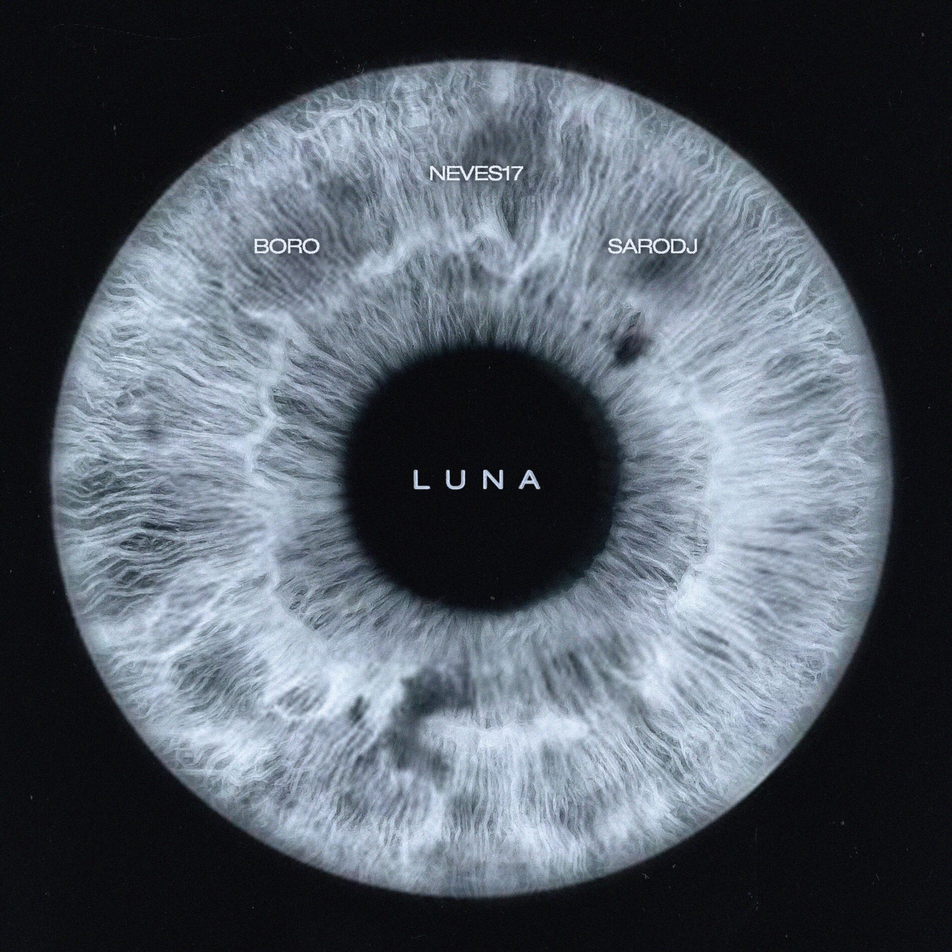 Album cover of LUNA (feat. Boro, Sarodj)