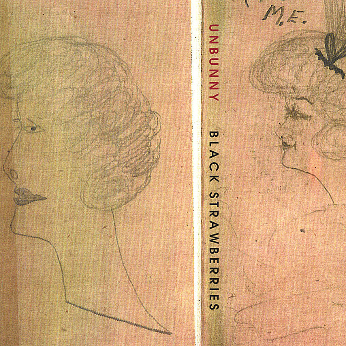 Album cover of Black Strawberries