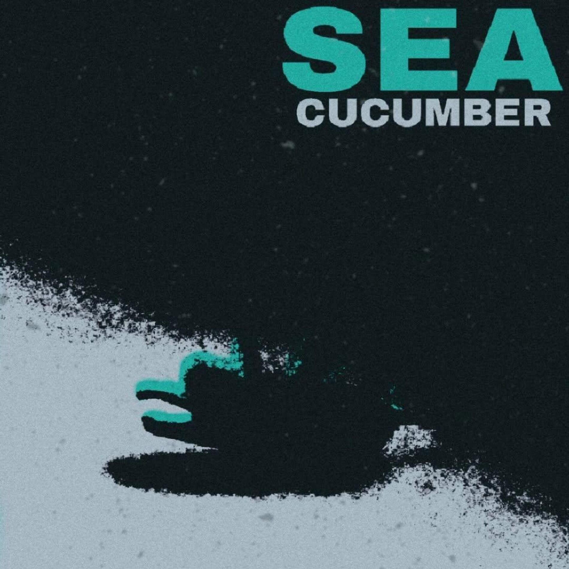 Album cover of SEA CUCUMBER