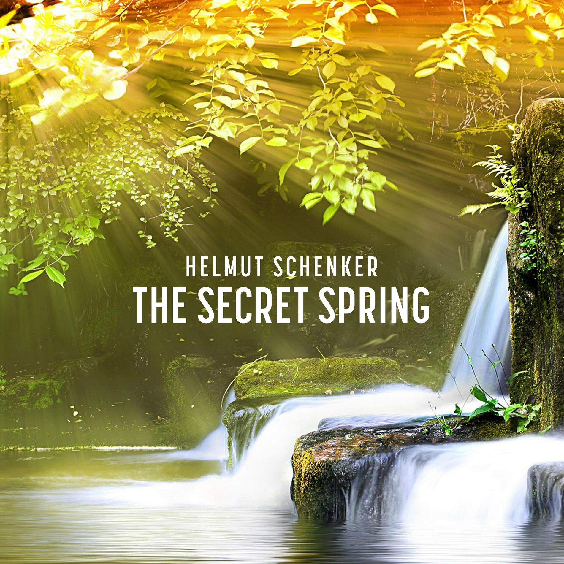 Album cover of The Secret Spring