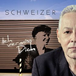 Cover of Ich vermiss dich