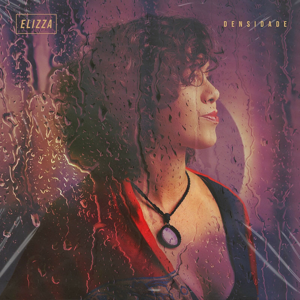 Album cover of Densidade