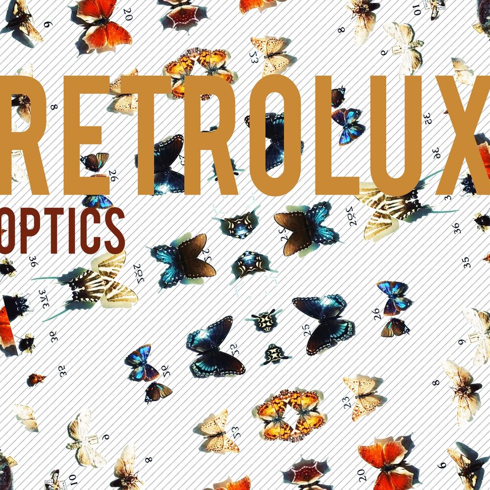 Picture of Optics
