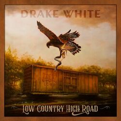 Cover of Low Country High Road