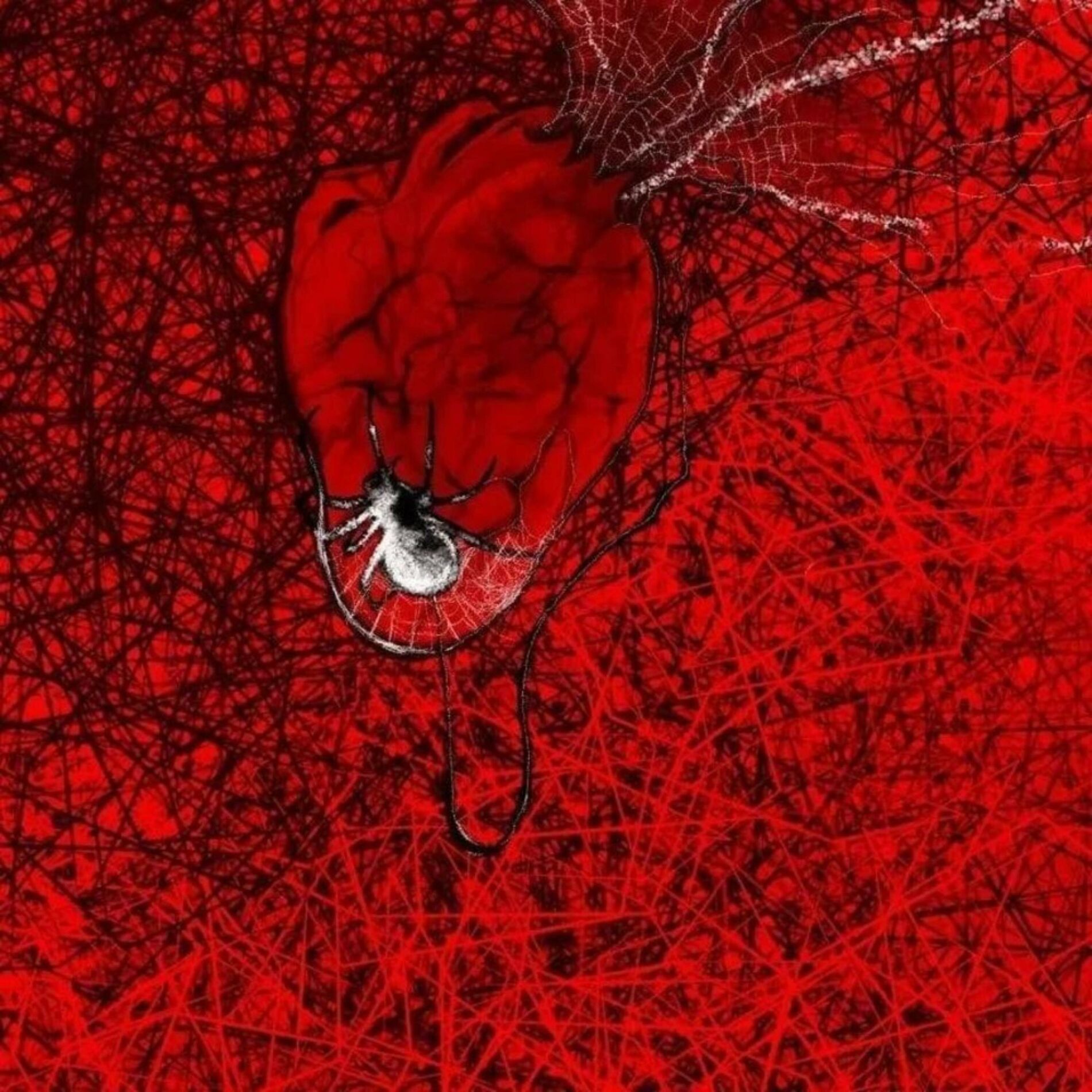 Album cover of Lunacy