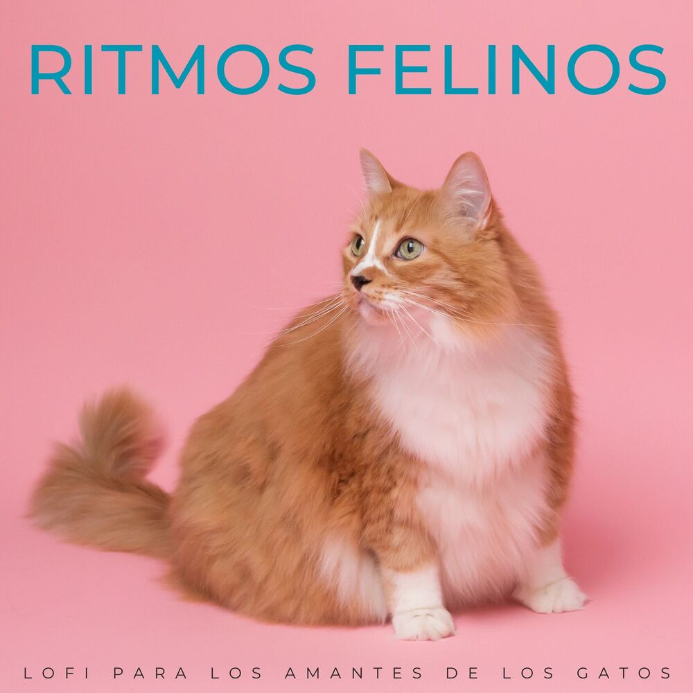 Picture of Ritmos Felinos: Lofi Para Los Amantes De Los Gatos
