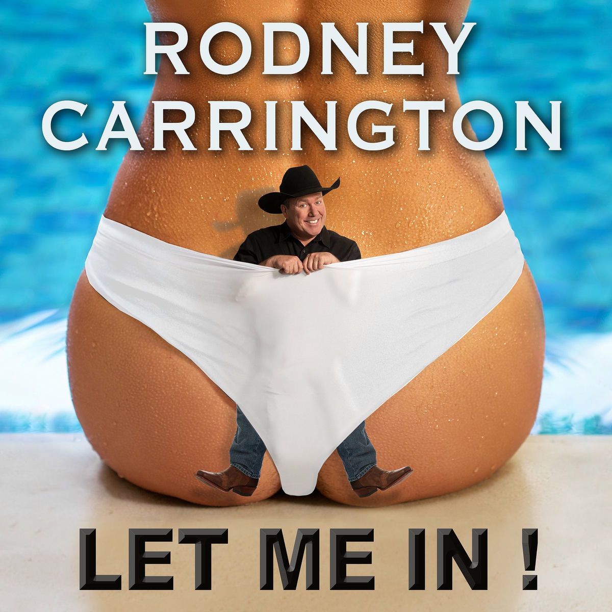 Album cover of Let Me In