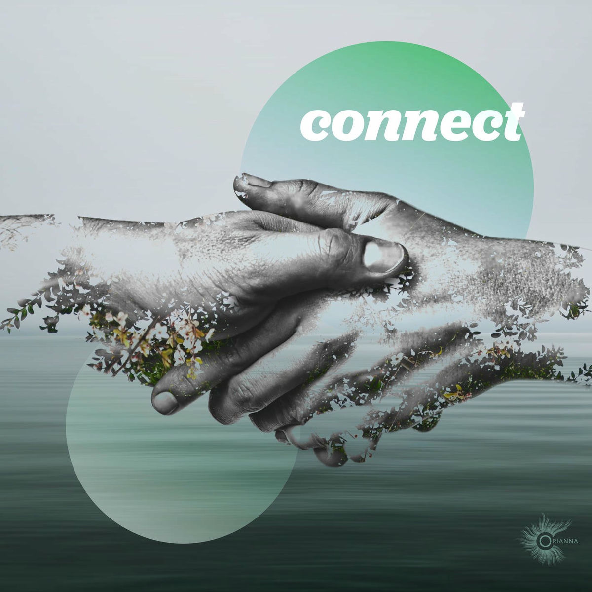 Album cover of Connect
