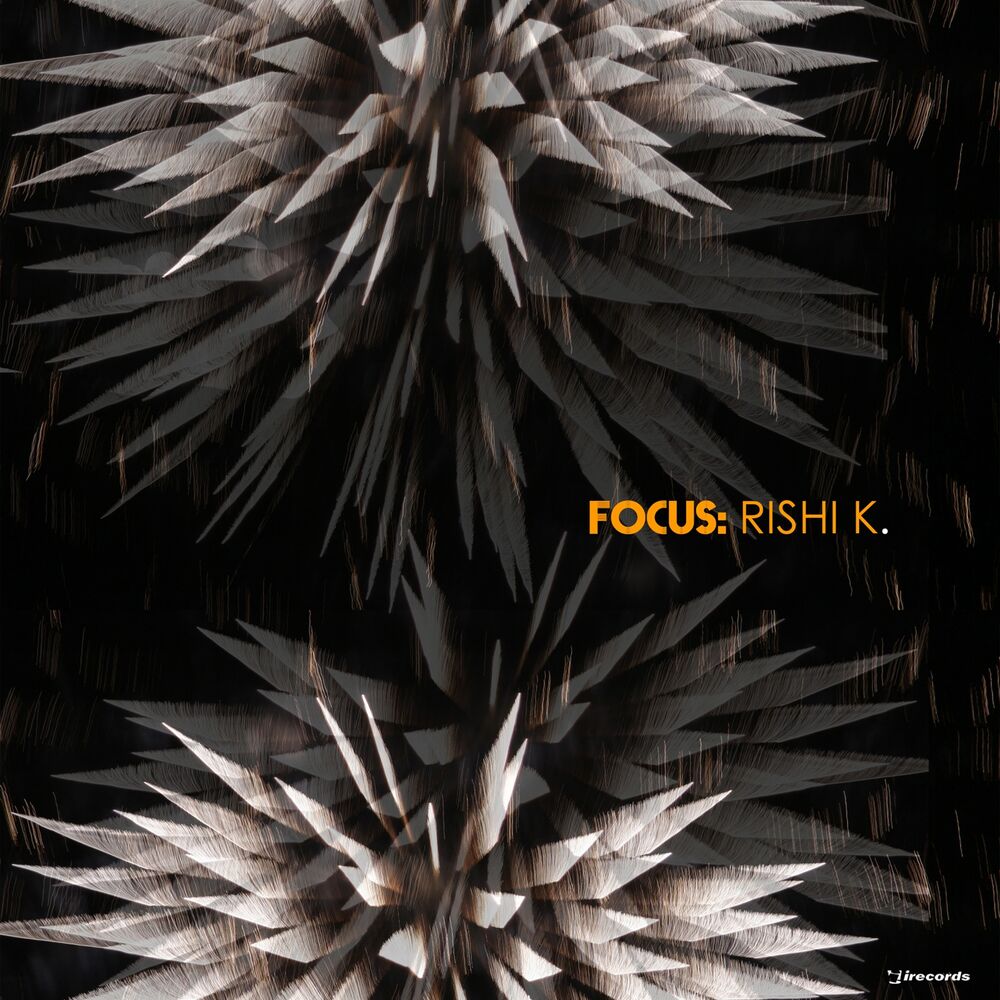 Picture of Focus: Rishi K.