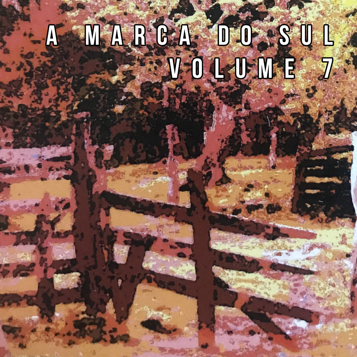 Album cover of A Marca do Sul, Vol. 7