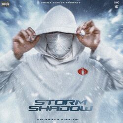 Cover of Storm Shadow