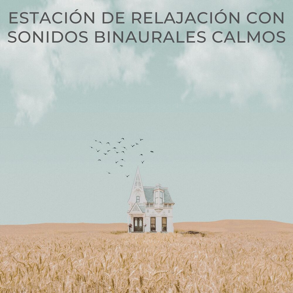 Picture of Estación De Relajación Con Sonidos Binaurales Calmos