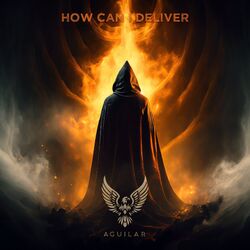 Cover of How can I deliver