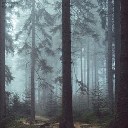 Cover of Mystery