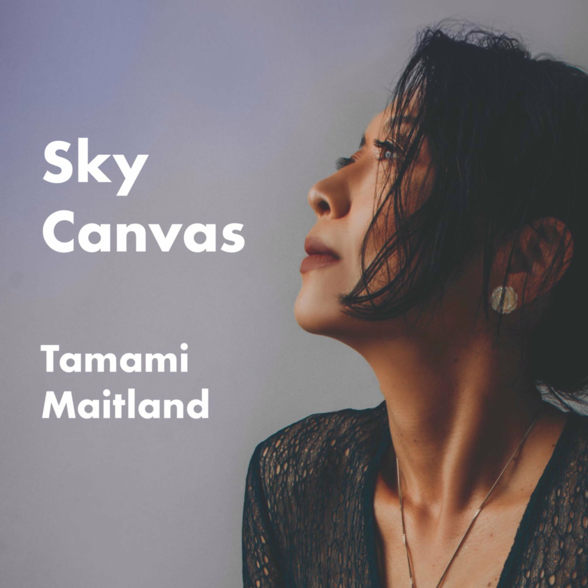 Album cover of Sky Canvas