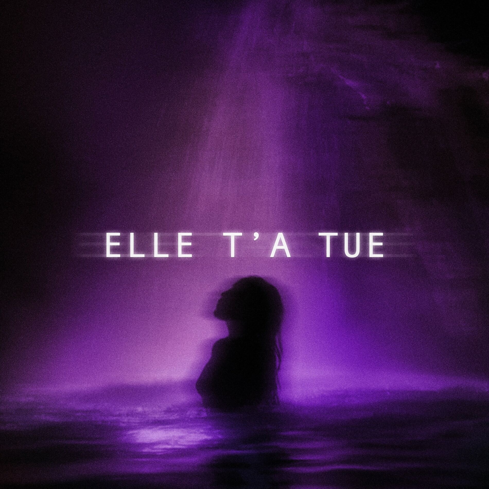 Album cover of Elle t'a tué (Instrumental)