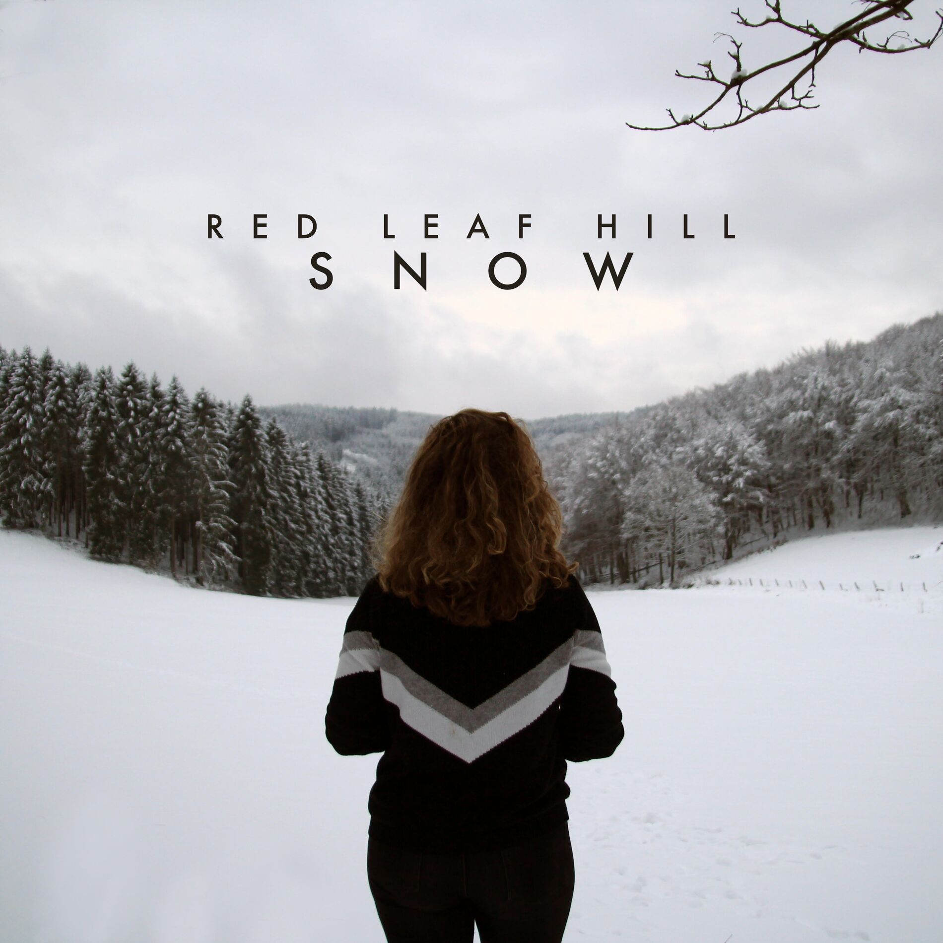 Album cover of Snow
