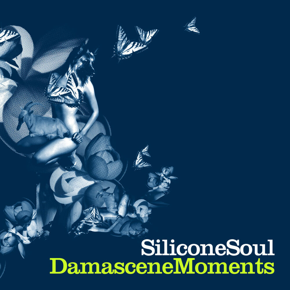 Picture of Damascene Moments