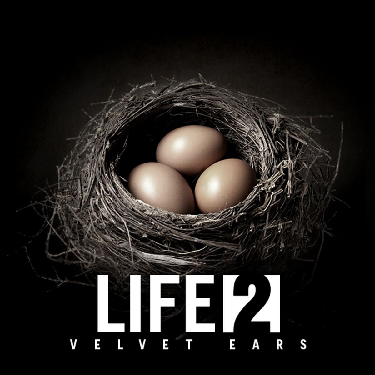 Album cover of Velvet Ears: Life 2