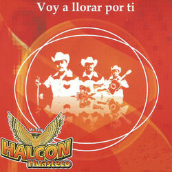 Cover of Voy a Llorar por Ti