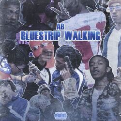 Cover of Bluestrip Walking