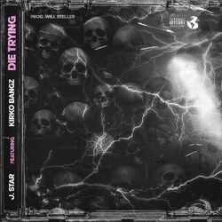 Cover of Die Trying