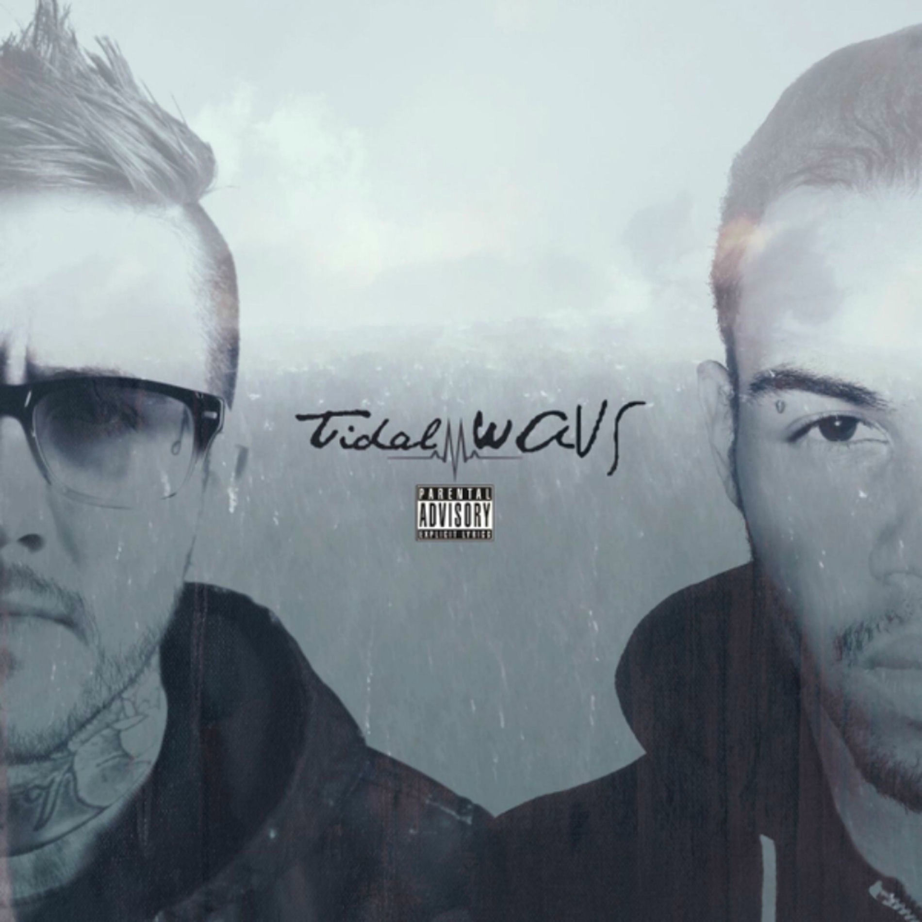 Album cover of Tidal WAVs