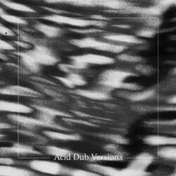 Cover of Acid Dub Versions