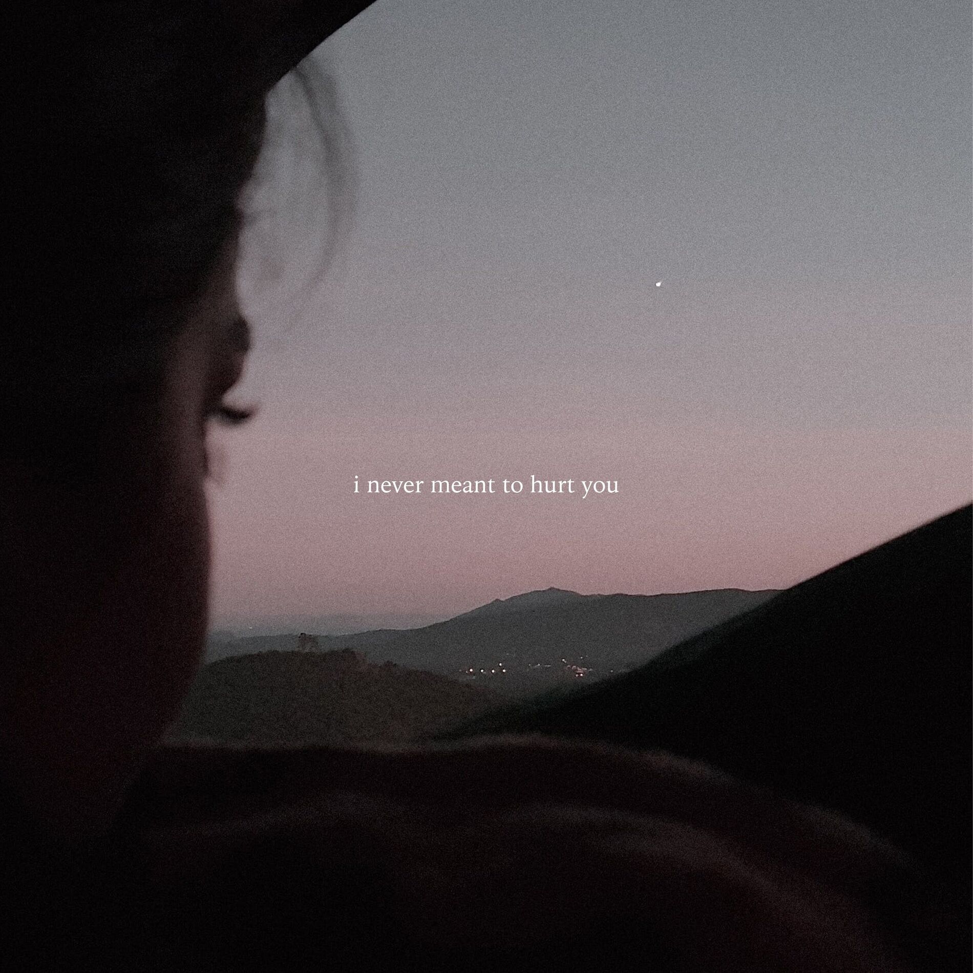 Album cover of i never meant to hurt you