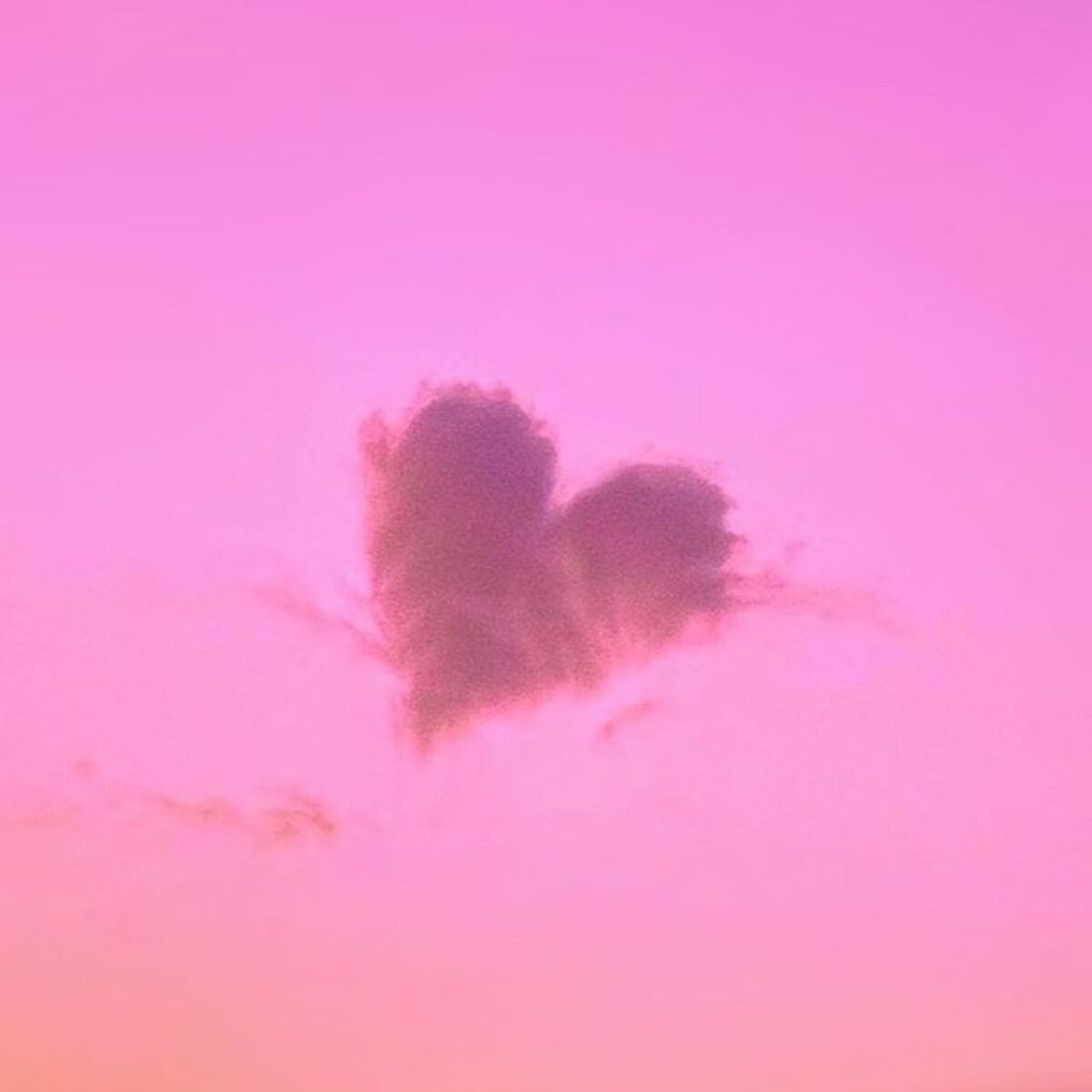 Album cover of Pardonner