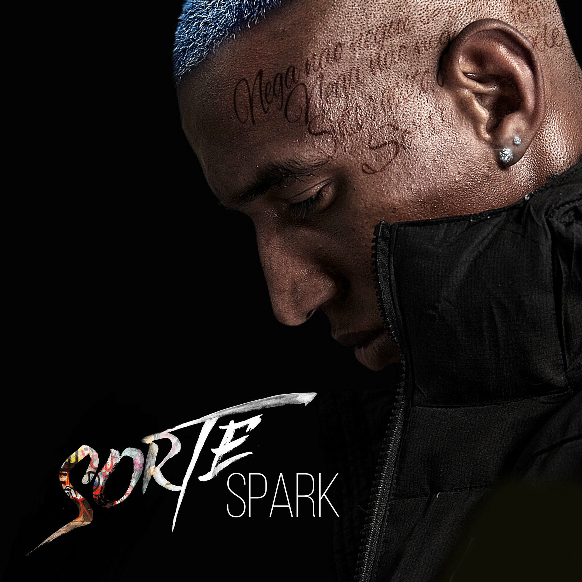 Album cover of Sorte