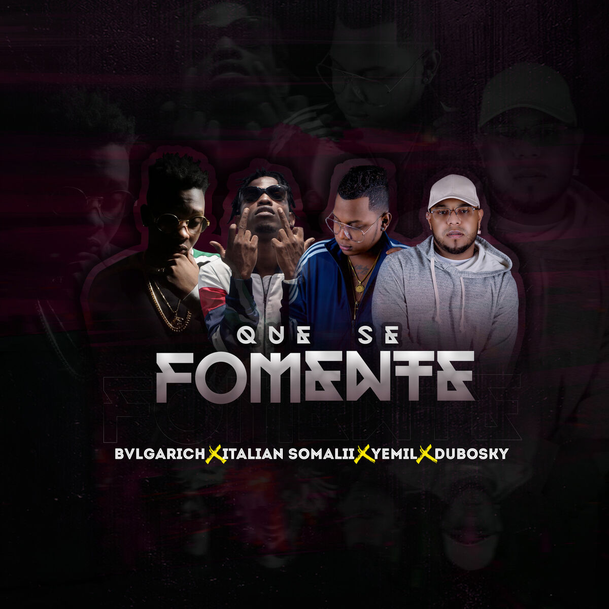 Album cover of Que Se Fomente
