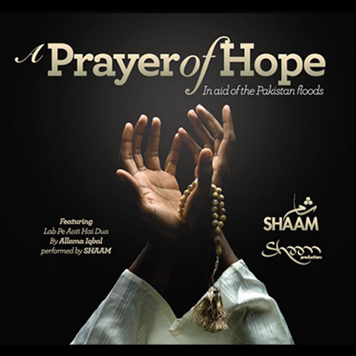 Shaam - A Prayer of Hope (feat. Lab Pe Aati Hai Dua) - Single | Deezer