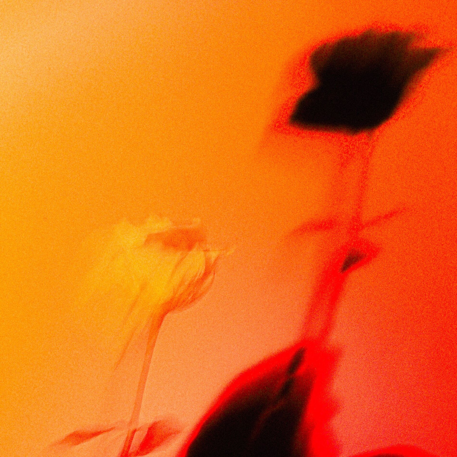 Album cover of LEAVES