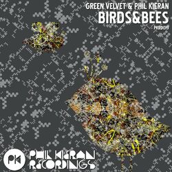 Cover of Birds & Bees EP