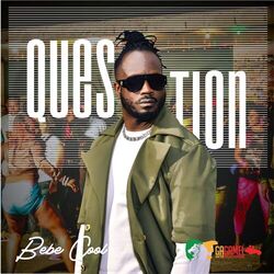 Cover of Question