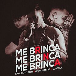 Cover of Me Brinca