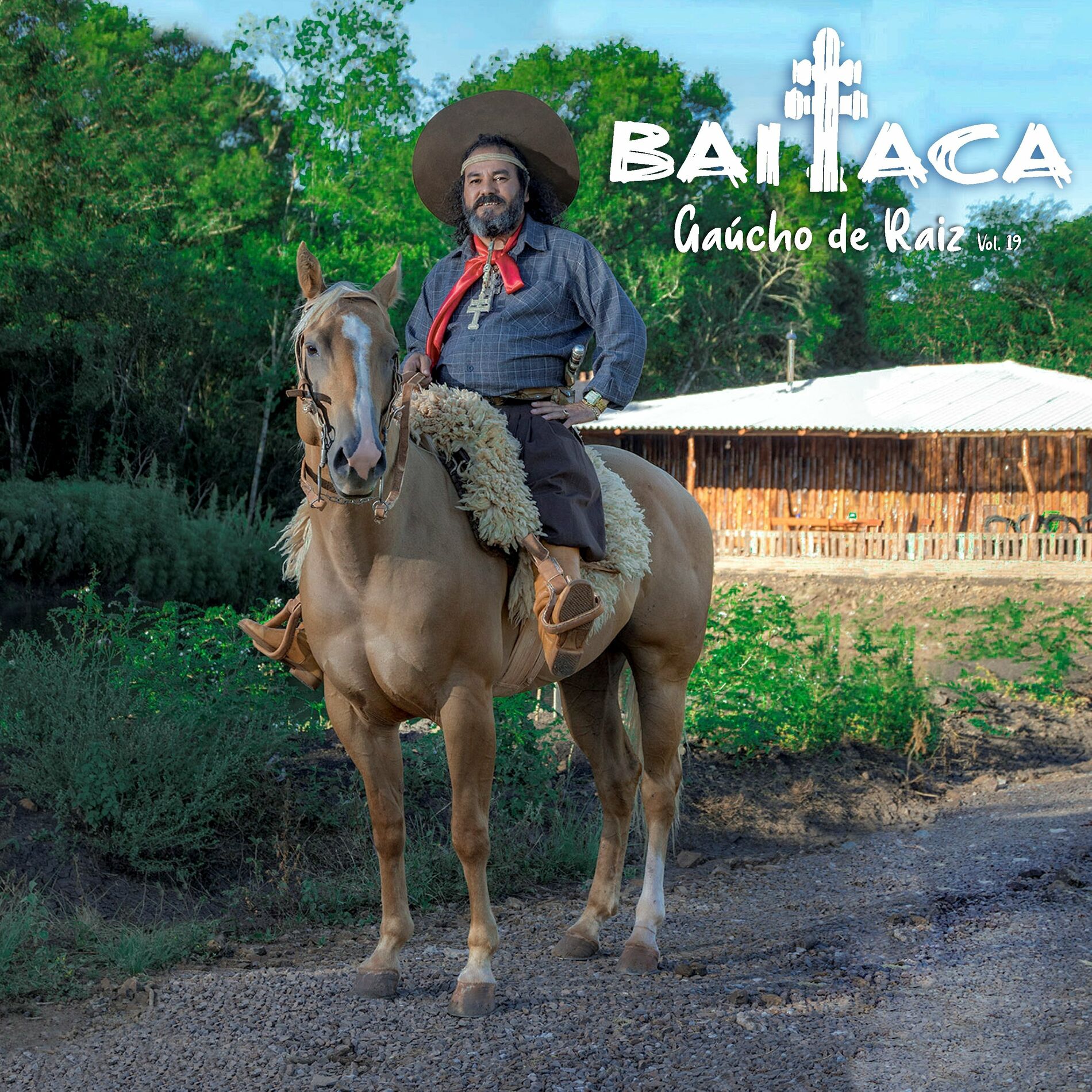 Album cover of Gaúcho de Raiz