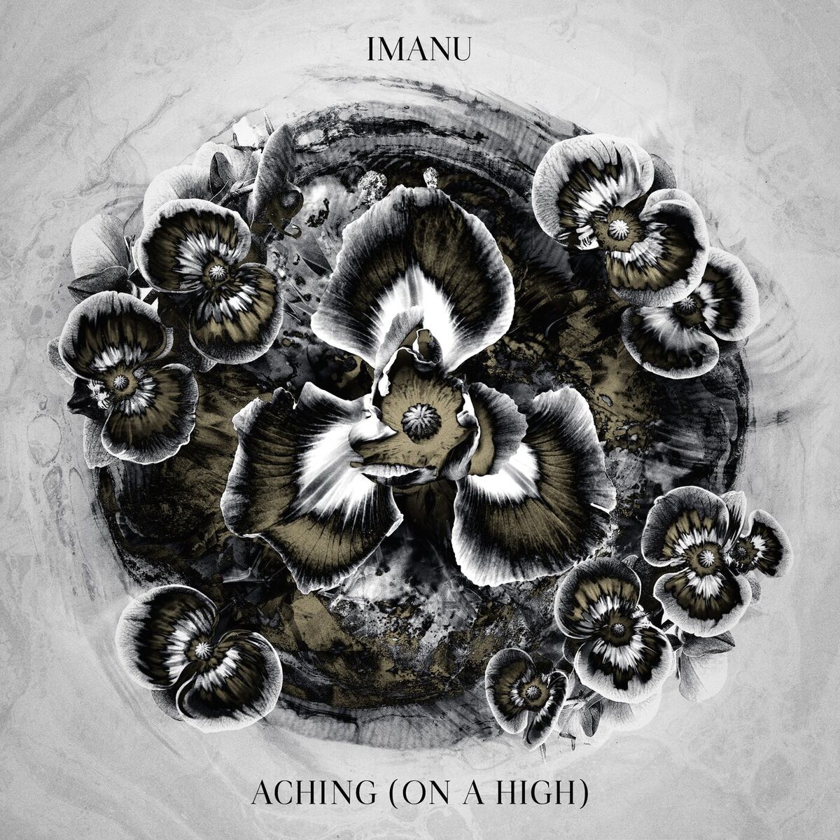 Album cover of Aching (On A High)