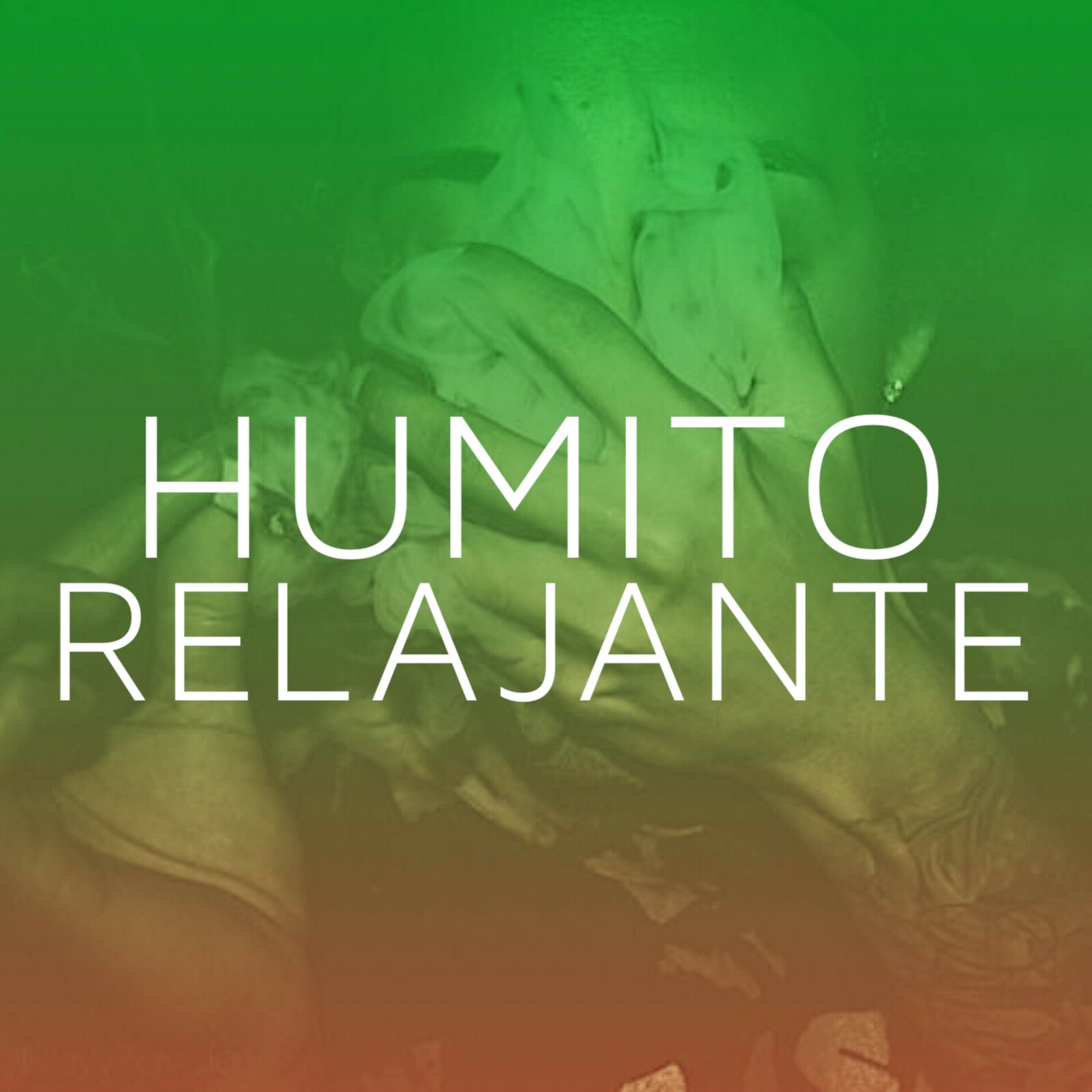 Album cover of Humito Relajante